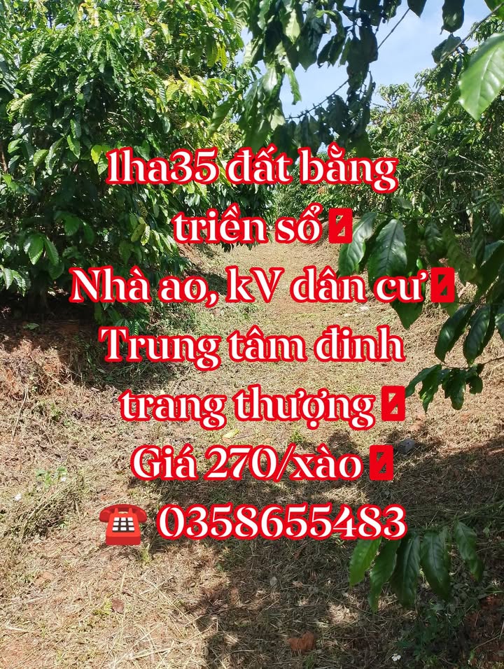 Đất Vườn 13.500m² Trung Tâm Xã Đinh Trang Thượng, Di Linh - Sổ Đỏ Sẵn Sàng