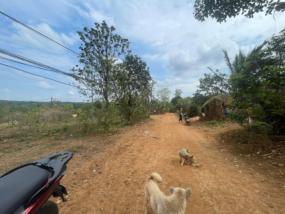 Đất nền Buôn Pơr Ea Tul 60m² - Sổ đỏ chính chủ, giá chỉ 200 triệu!