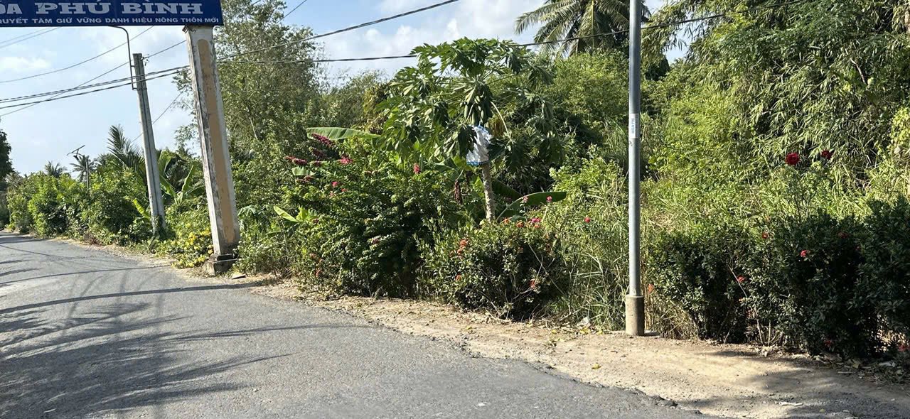 Bán đất nền 2428m² Huyện Mang Thít, Vĩnh Long - Sổ hồng sẵn, giá đầu tư 2.1 tỷ