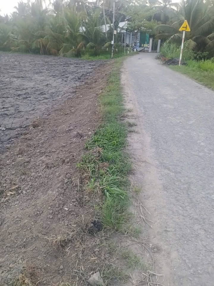 Đất Vĩnh Long 174m² Full Thổ Cư - Sổ Hồng Sẵn Sàng - Giá Chỉ 300 Triệu