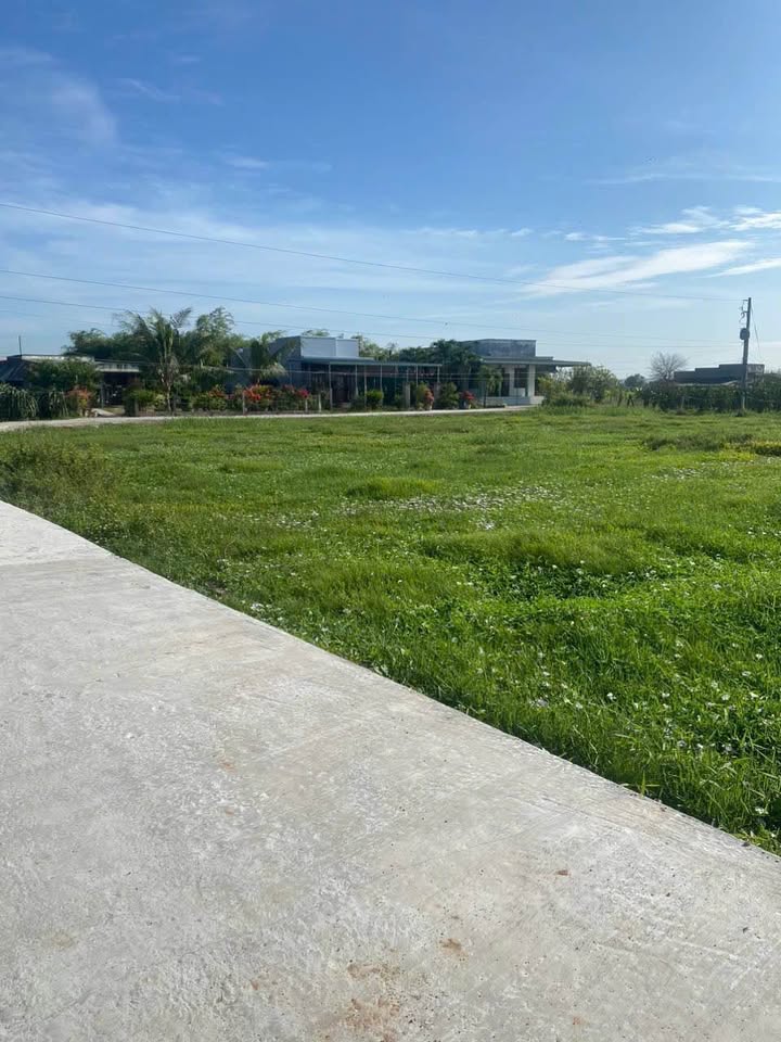 Đất nền Bình An, Bắc Bình 1000m² - Tiềm năng tăng giá vượt trội!