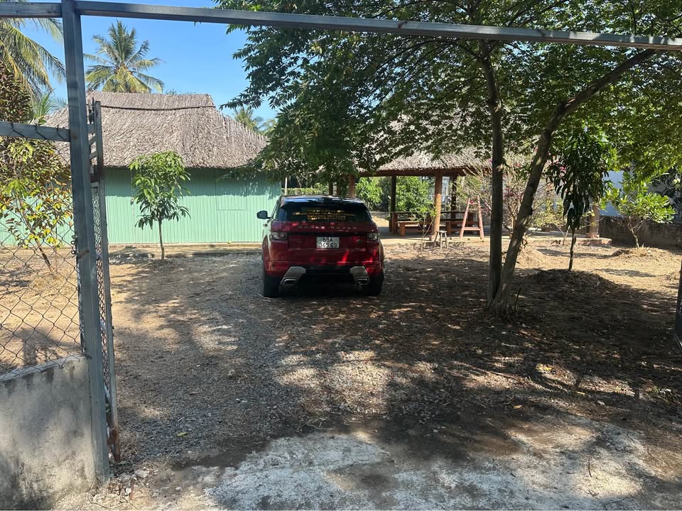 Đất nền Tân Phú Đông 696m² - Sổ hồng sẵn, thổ cư 100m²!