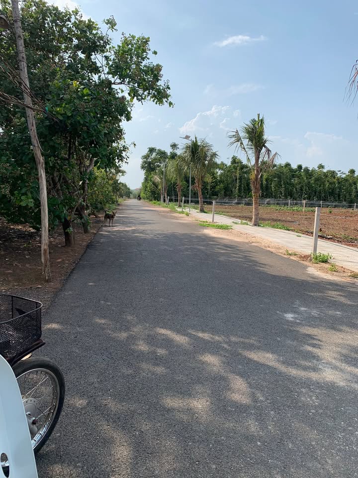 Đất Nền 2 Mặt Tiền Xuyên Mộc 400m² Giá 8xx Triệu - Sổ Hồng Thổ Cư