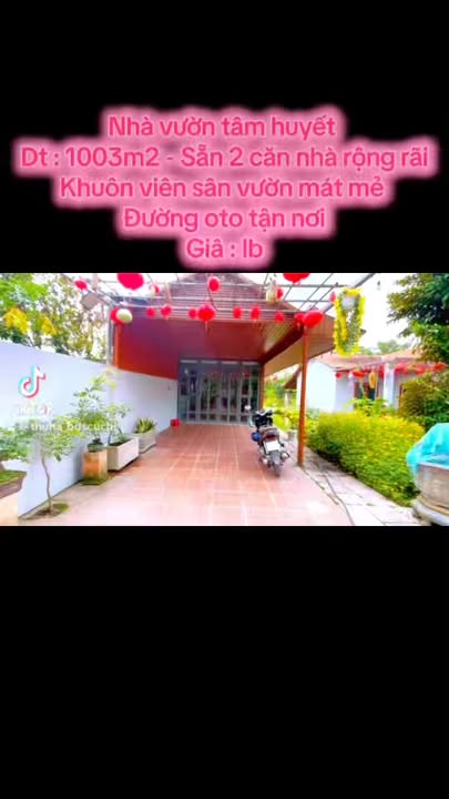 Nhà Vườn Bình Mỹ Củ Chi 1003m² - Nghỉ Dưỡng Lý Tưởng!