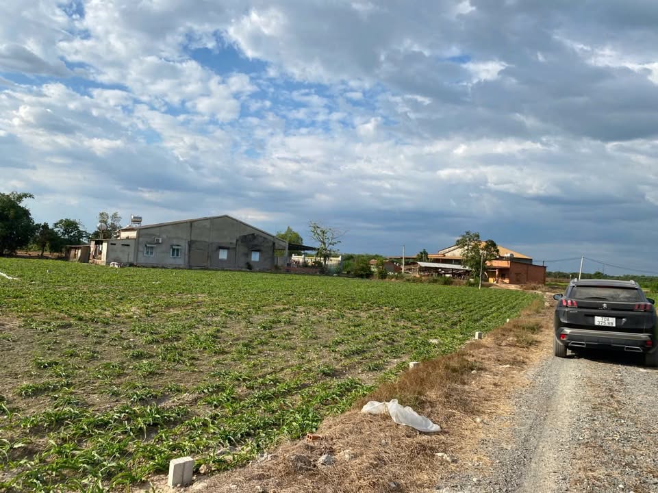 Đất Nền 160m² Mặt Tiền Đá Truông Mít, Tây Ninh - Sổ Sẵn Giá Đầu Tư 350 Triệu