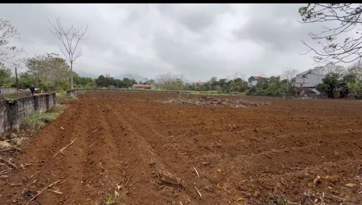 Đất nền Cẩm Tú, Cẩm Thủy 5206m² – Tiềm năng tăng giá vượt trội!