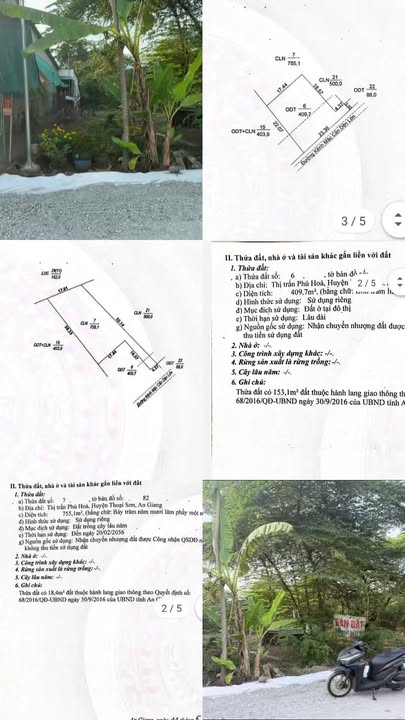 Đất nền Phú Hòa, Long Xuyên 1248m² - Sổ đỏ chính chủ, Đường to ô tô