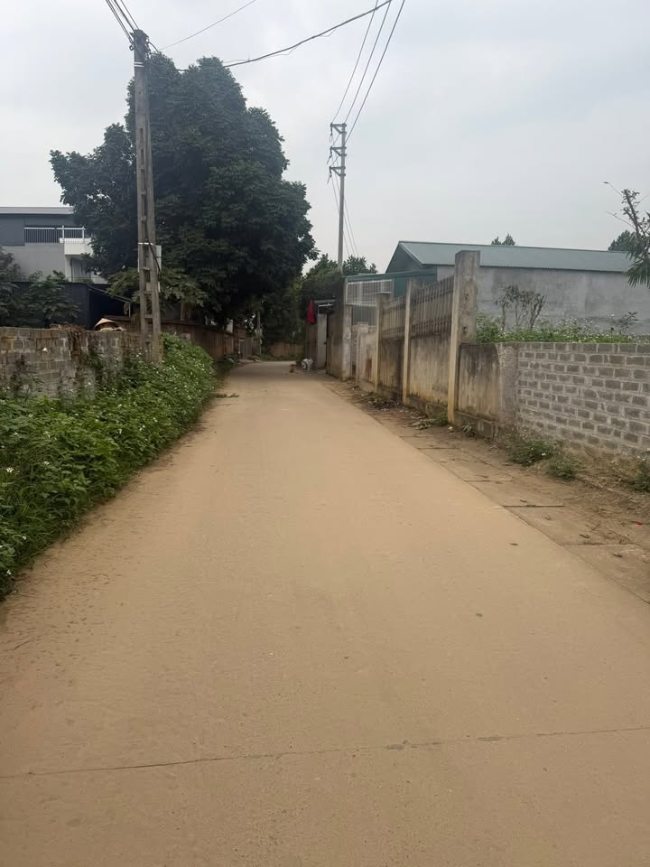 Đất Nền Ba Vì 130m² - Sổ Đỏ Chính Chủ, Giá 600 Triệu, Mặt Tiền Trục Liên Thôn