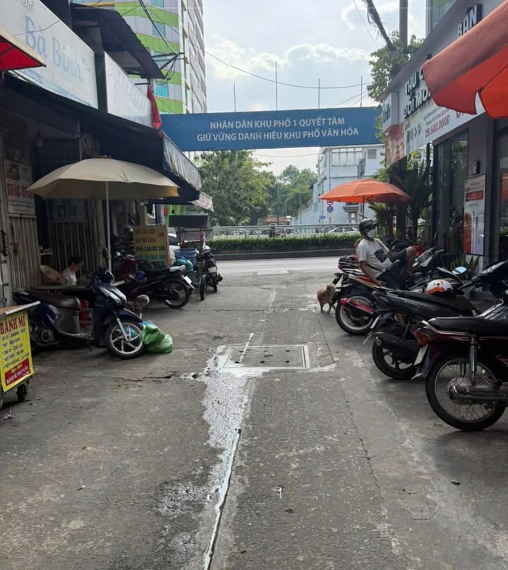 Nhà Hẻm Xe Hơi Nguyễn Trung Ngạn, Q1 - 4.8 Tỷ, 5 Bước Ra Mặt Tiền