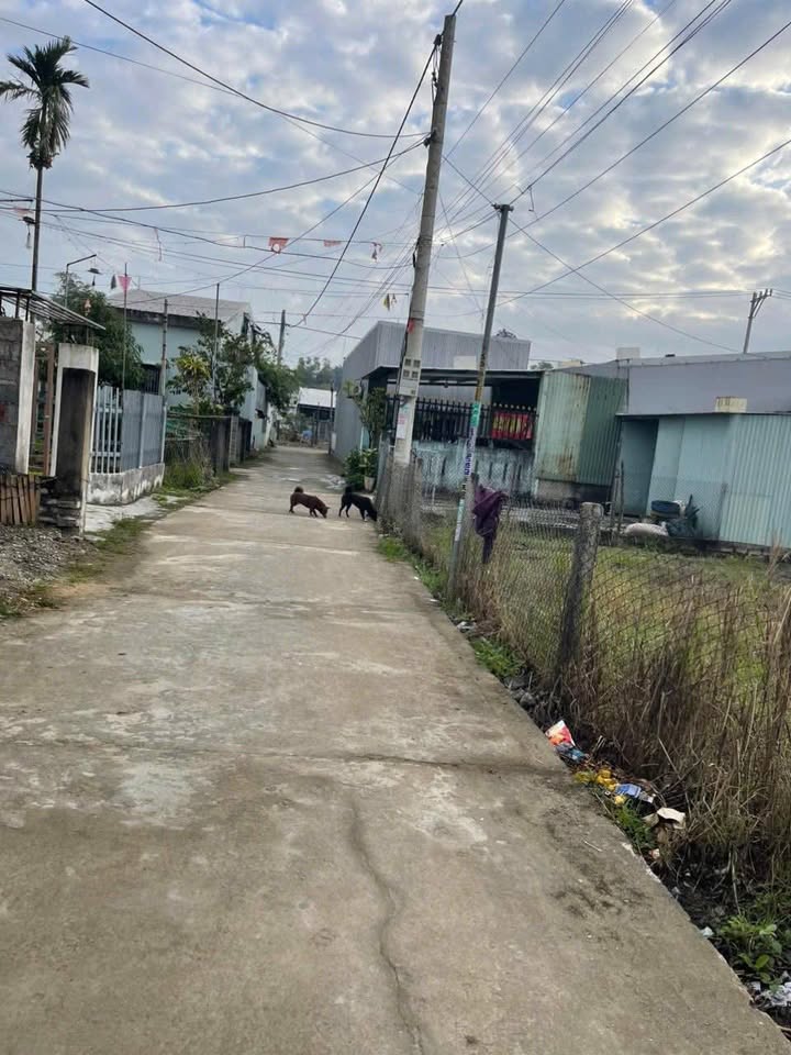 Bán Đất Biển Điện Dương 150m² - Sổ Đỏ Rẻ Hơn Thị Trường 200 Triệu