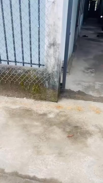 Cho thuê dãy trọ Điện Nam Bắc 100m² - Thu nhập 6 triệu/tháng