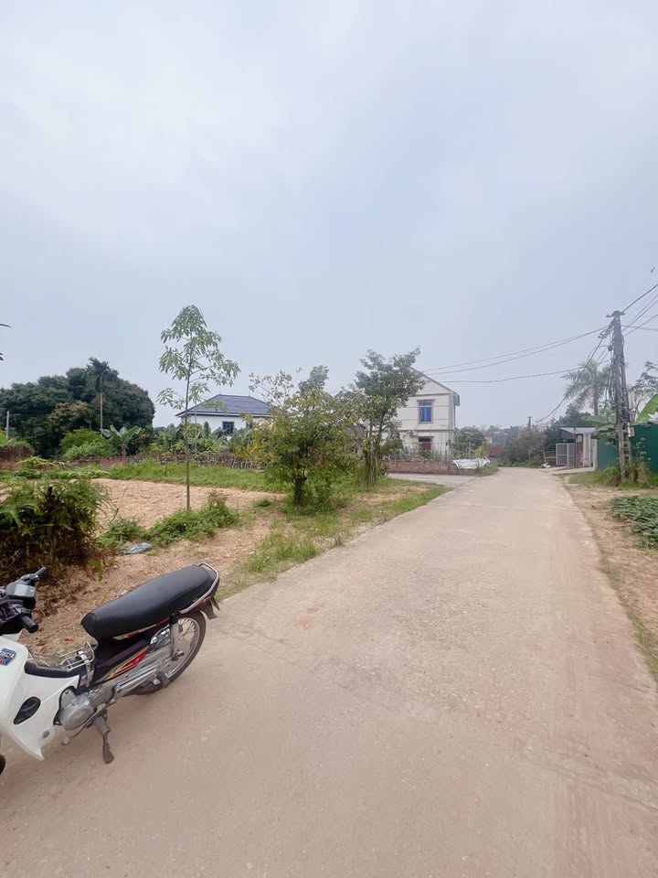 Đất nền Việt Trì 230m² - Sổ đỏ vuông vắn, ô tô tránh