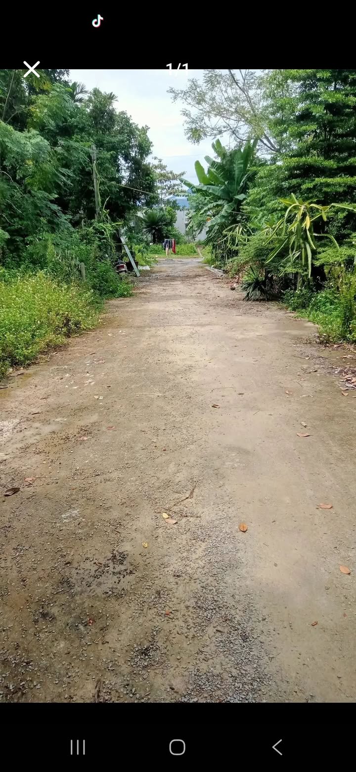 Đất nền Phú Thượng, Ngũ Hành Sơn 100m² - Sổ đỏ chính chủ, xây dựng tự do!