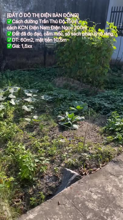 Đất nền 60m² Điện Bàn, Quảng Nam 1.5 tỷ - Sổ đỏ chính chủ!