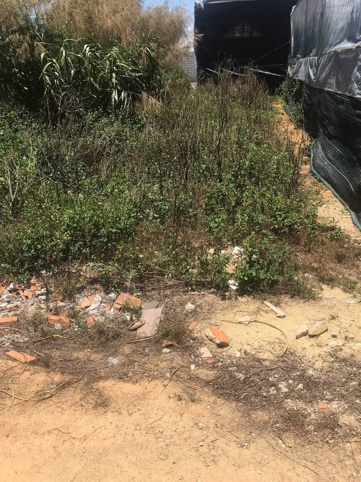 Đất Nền Đà Lạt 67m² Đường Nguyên Tử Lực - Sổ Hồng Riêng, Giá Tốt