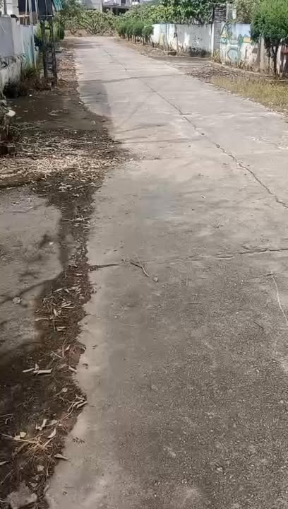 Đất nền Hồng Giang, Lục Ngạn 200m² - Tiềm năng tăng giá!