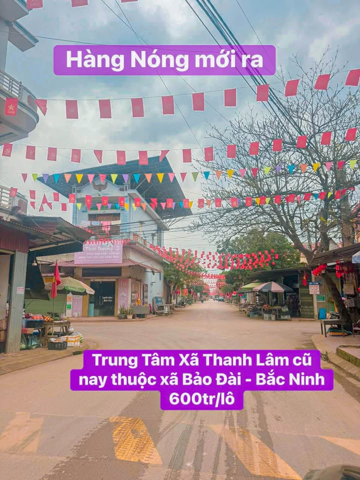 Đất nền Lục Nam 200m² full thổ cư - Gần Ngã Tư Sơn Đình