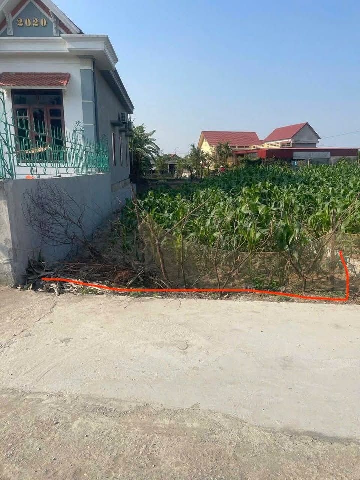 Đất nền Đa Lộc, Hậu Lộc 100m² - Sổ đỏ chính chủ