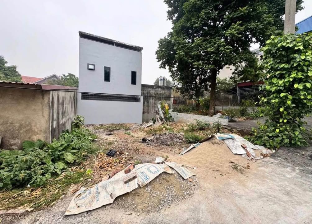 Đất nền Phổ Yên 100m² Đồng Quang - Giá tốt đón Tết!