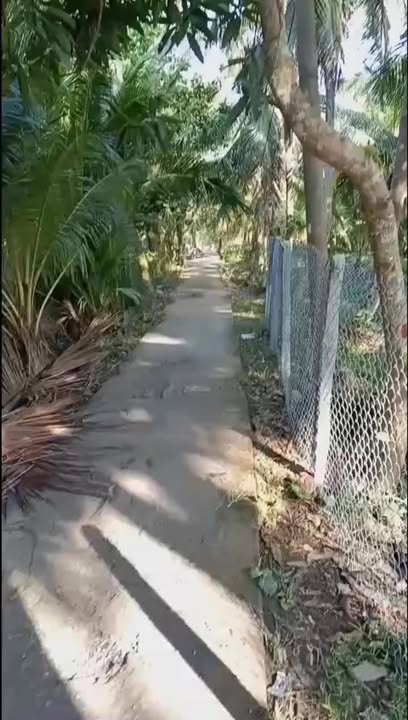 Bán Đất Vườn Trà Vinh 972m² - Giá 520 Triệu - Sổ Đỏ Rõ Ràng