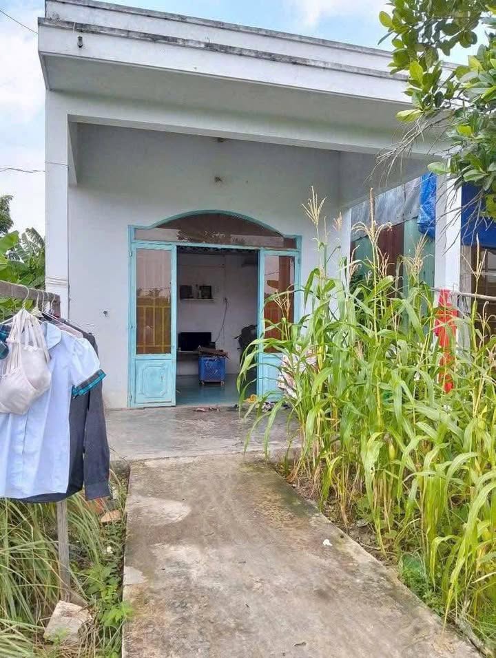 Nhàấp 3 Nhựt Chánh, Bến Lức - 176m² Thổ Cư, Giá 750 Triệu