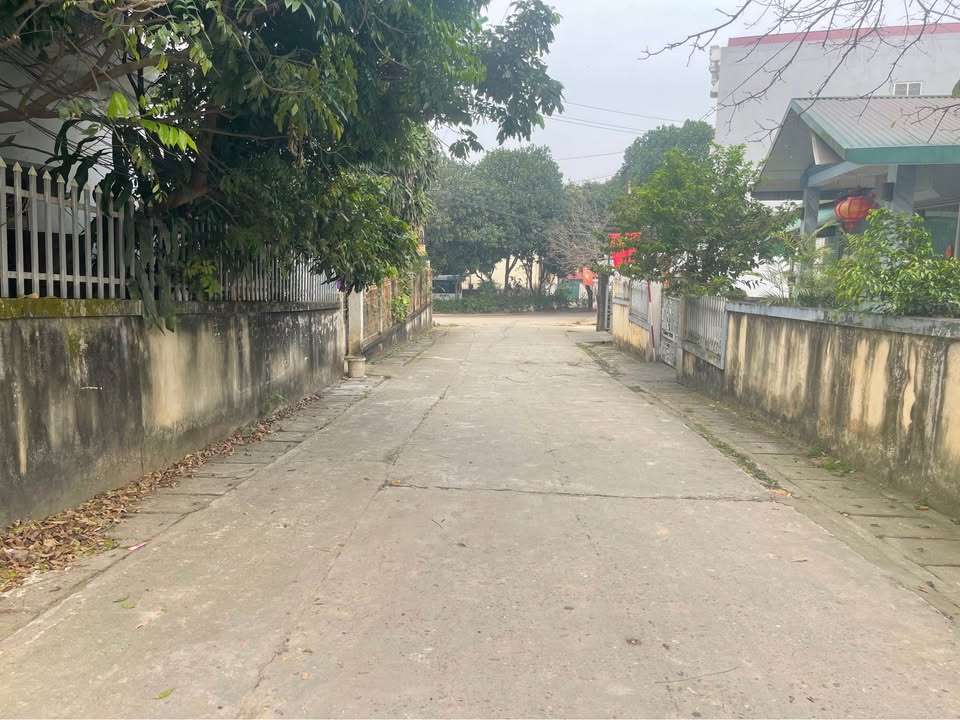 Bán đất Tuyên Quang 110m² - Mặt đường chính, cạnh Đại học Tân Trào - Giá nhỉnh 1 tỷ