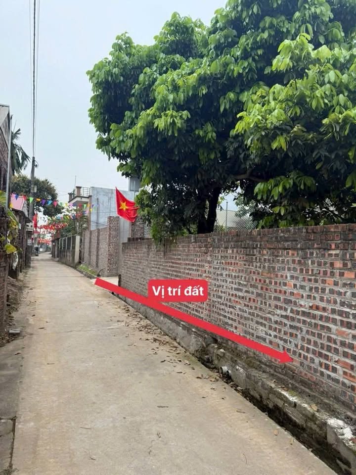 Đất nền Ba Vì 175m² sổ đỏ sẵn sàng - Cơ hội đầu tư sinh lời