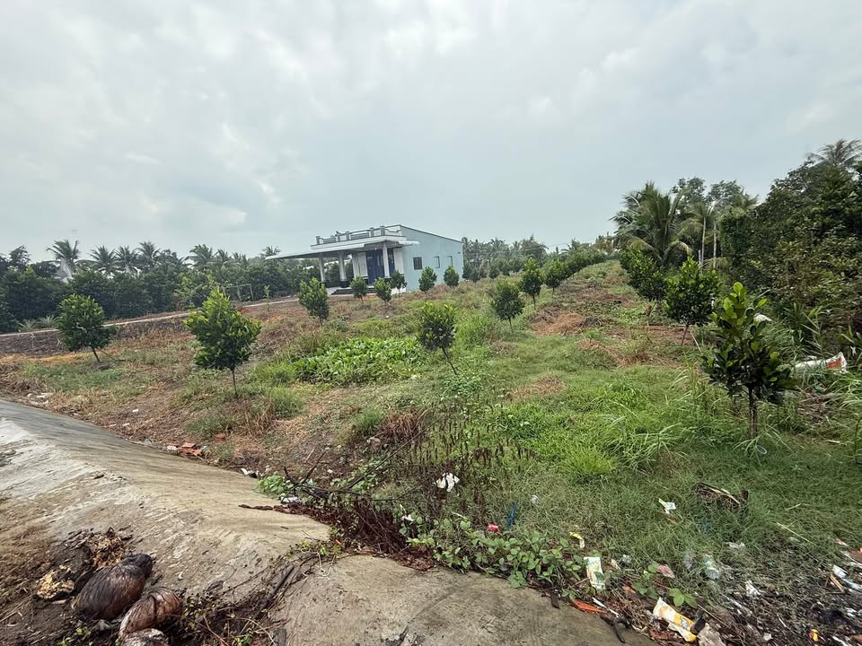 Bán Đất Vị Thủy Hậu Giang 1391.3m² - Sổ Đỏ Rõ Ràng