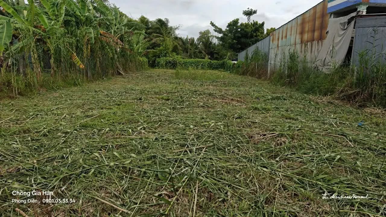 Đất nền Ấp Trường Phú 1, Cần Thơ 447m² - Pháp lý rõ ràng, tiềm năng vàng!