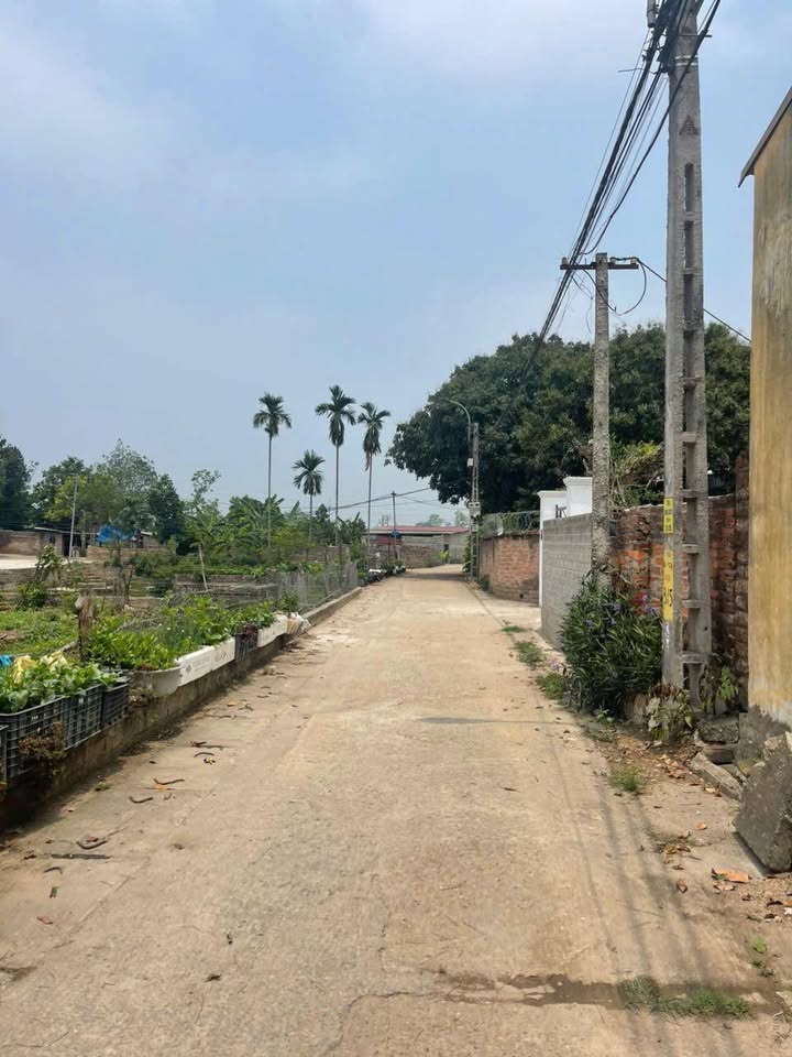 Đất Nền Ba Vì 100m² Full Thổ Cư - Sẵn Sàng Xây Nhà, Giá Đầu Tư 1.5 Tỷ