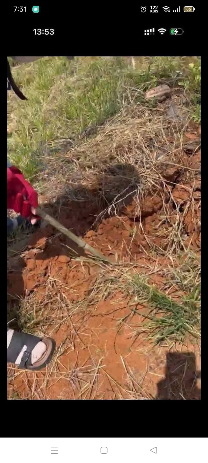 Đất nền Ea Wer Buôn Đôn 4.5ha - Sổ đỏ chính chủ, Tiềm năng sinh lời!