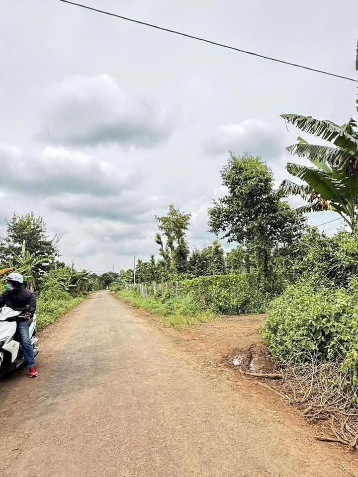 Đất Nền Buôn Ma Thuột 500m² Sổ Riêng - Giá 850 Triệu/Lô