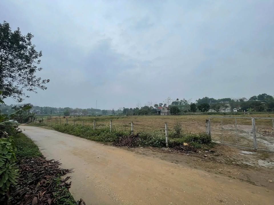 Đất Vườn Ba Vì 2000m² - Sổ Đỏ Rõ Ràng, View Đồng Mát Mẻ