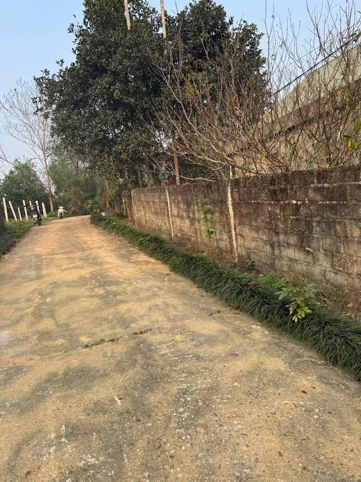 Đất Vườn Phú Thọ 1400m² - Sổ Đỏ Thổ Cư, Giá Hời Đầu Tư