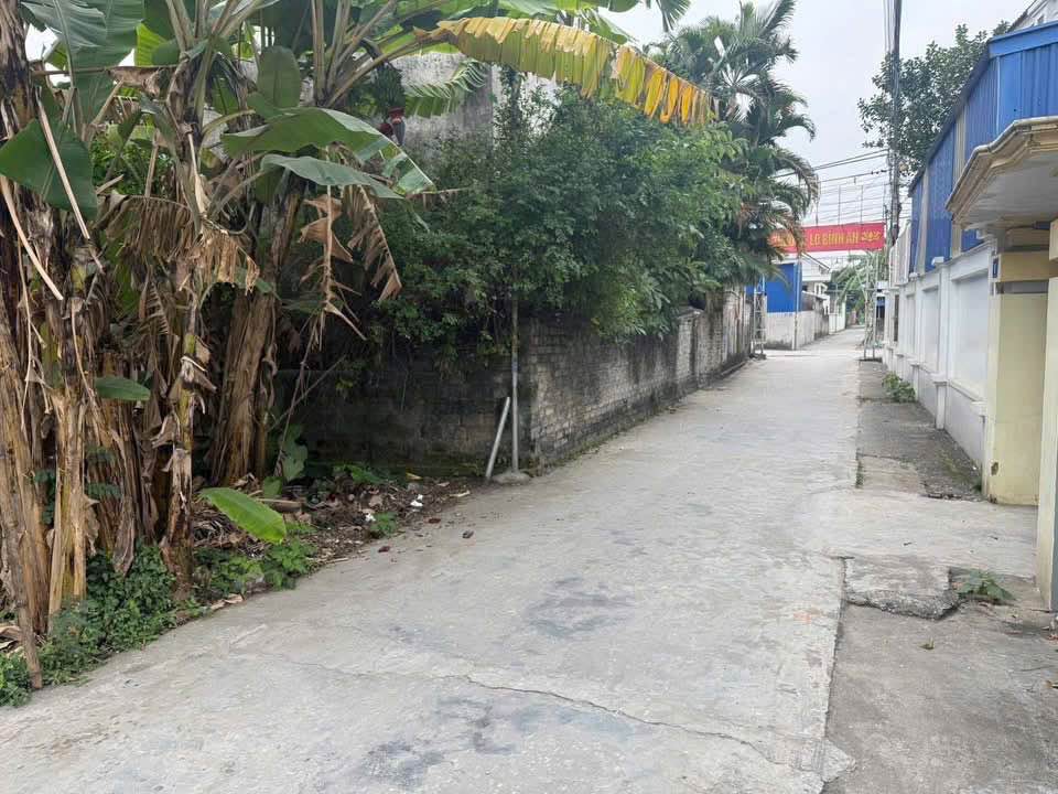 Đất Xích Thổ Vĩnh Bảo 84m² - Sổ Đỏ Chính Chủ, Tiềm Năng Tăng Giá Gấp Đôi