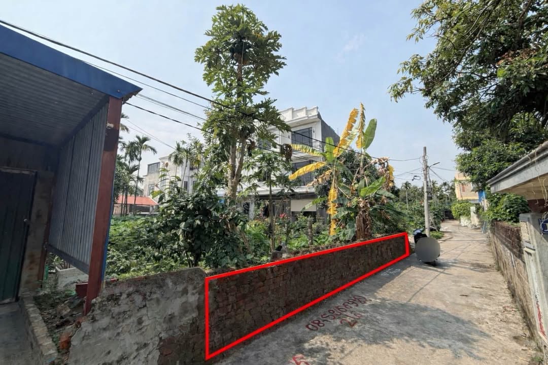 Đất nền Văn Phong 50m² Hải Phòng - Sổ đỏ, ô tô vào tận nơi!