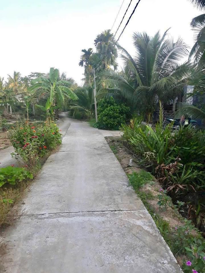 Đất nền Xã Hữu Định Bến Tre 337m² - Sổ đỏ chính chủ!