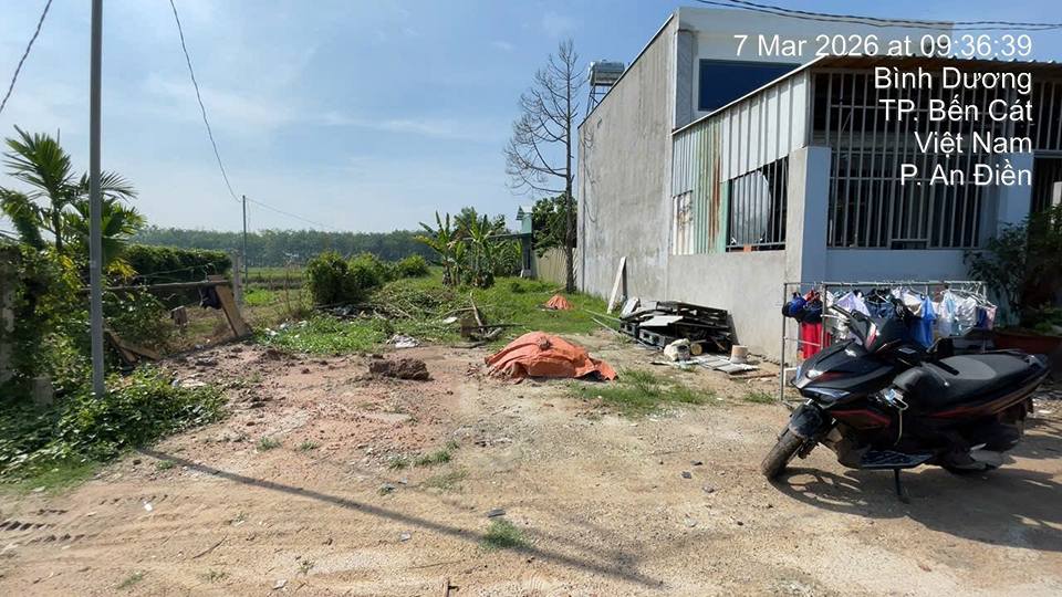 Đất nền Bàu Bàng 124m² - Sổ hồng sẵn, gần Vành đai 4