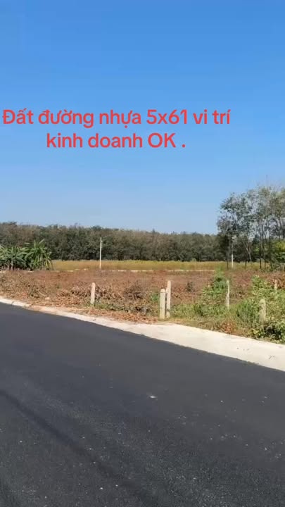 Đất Mặt Tiền Đường Nhựa Thuận An - 305m² Kinh Doanh Ngay - 1.6 Tỷ