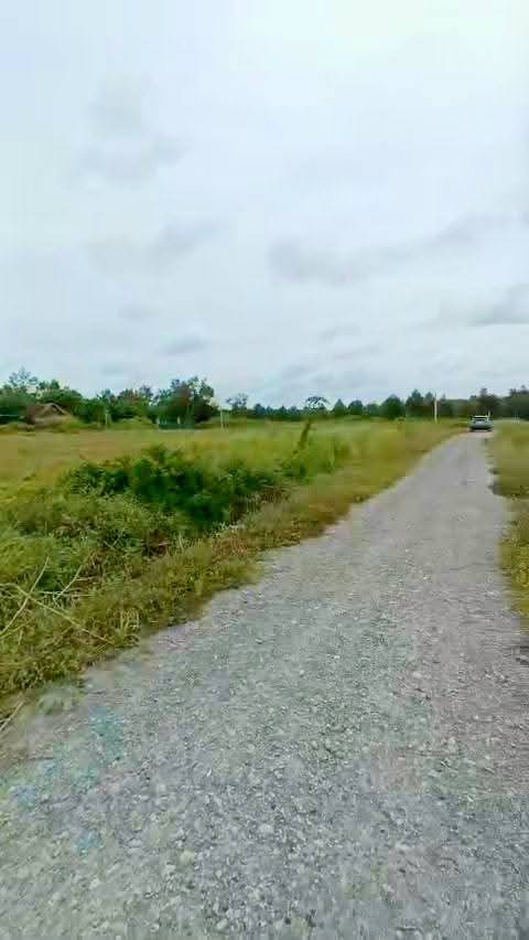 Đất Nền 9474m² Full Thổ Cư Gò Dầu, Tây Ninh - Giá Đầu Tư 15 Tỷ