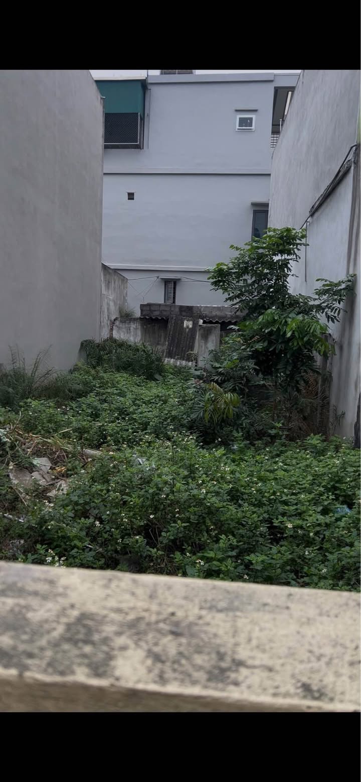 Đất nền Vũ Phúc, Thái Bình 45m² - Vuông vắn, ô tô đỗ cửa