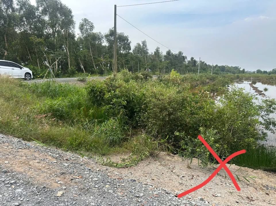 Bán đất 275m² Tân Phước, Tiền Giang - Sổ hồng 100m² thổ cư, giá 280 triệu