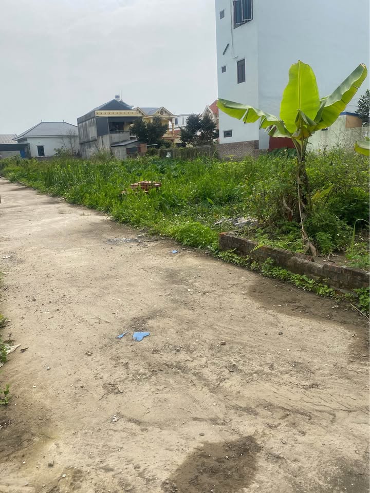 Bán đất 58.5m² tuyến 2 Kiều Hạ Quốc Tuấn, Lê Chân - Vị trí đẹp, giá tốt