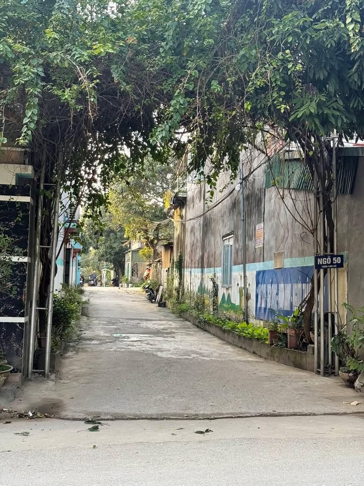 Đất nền Ngõ 50 Sơn Hà, TP Hà Giang 100m² - Sổ đỏ chính chủ!