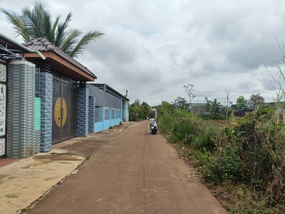 Đất nền 135m² Hẻm Lý Thường Kiệt, Pleiku - Tiềm năng tăng giá!