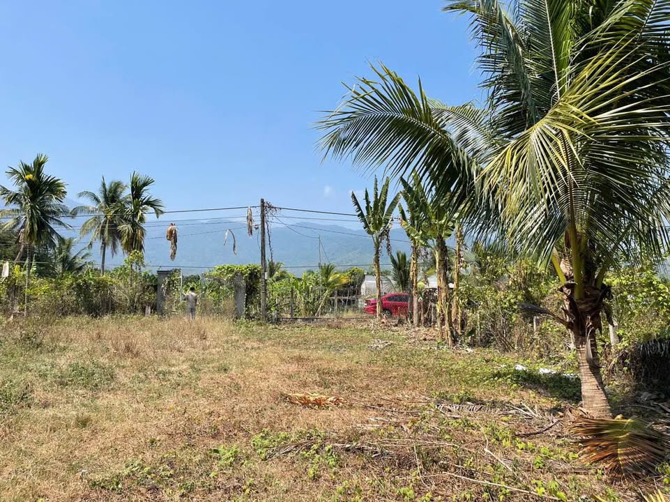 Đất nền Diên Tân, Diên Khánh 342m² - Sổ đỏ chính chủ