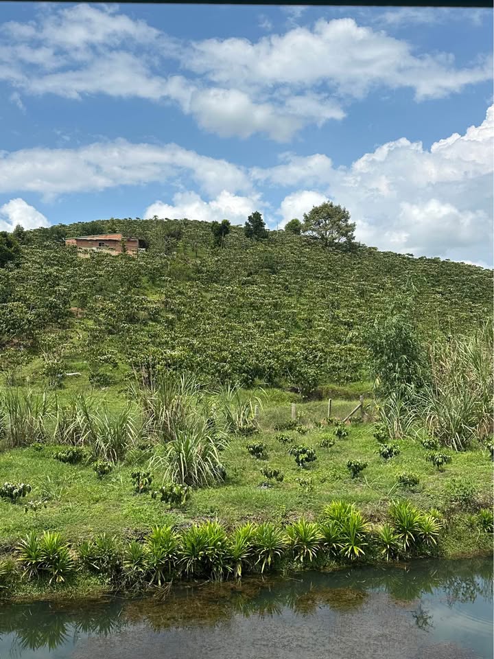 Đất nền Bảo Lâm 1.7ha giá 5.1 tỷ - Hạ tầng hoàn thiện!