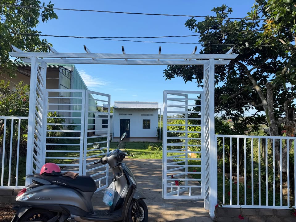 Nhà Vườn 600m² Bảo Lộc - 2PN Mới Tinh, Giá 1.6 Tỷ