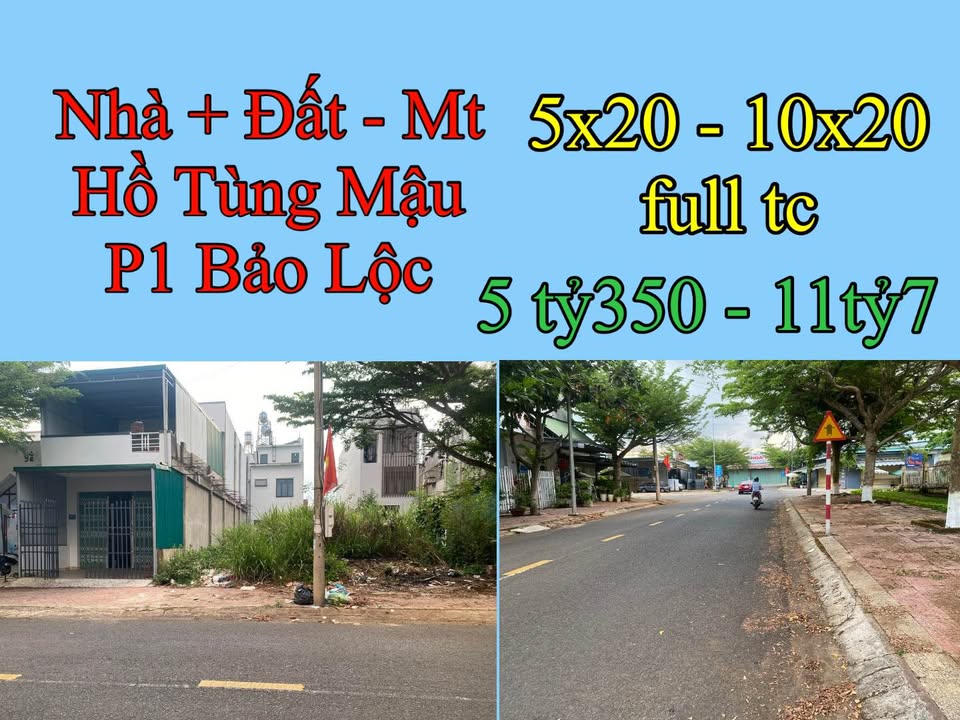 Đất nền Hồ Tùng Mậu Bảo Lộc 200m² - Tiềm năng tăng giá vượt trội!