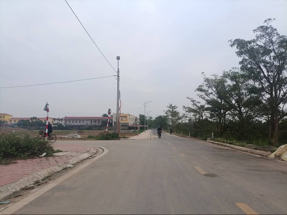 Đất đấu giá mặt sông Vĩnh Bảo 140m² - View đẹp, vị trí đắc địa